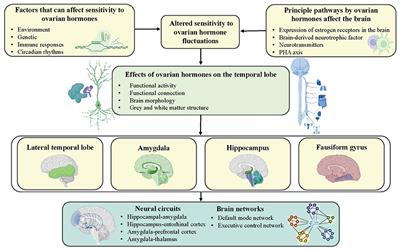 The Prominent Role of the Temporal Lobe in Premenstrual Syndrome and Premenstrual Dysphoric Disorder: Evidence From Multimodal Neuroimaging